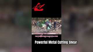 Kéo cắt cá sấu Q43-2500